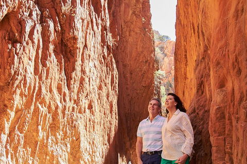 Best Of Alice Springs Full Day Tour - Perisher Accommodation 4