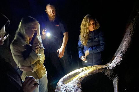 Evening Rainforest & Glow Worm Experience - Perisher Accommodation 2