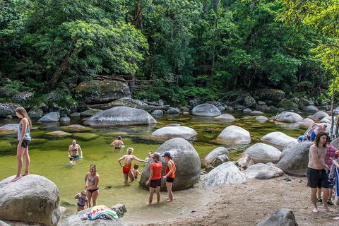 Cape Tribulation, Mossman Gorge, And Daintree Rainforest Day Trip From Cairns Or Port Douglas - Perisher Accommodation 1
