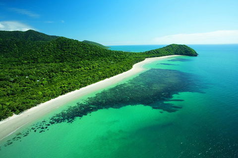 Cape Tribulation, Mossman Gorge, And Daintree Rainforest Day Trip From Cairns Or Port Douglas - Perisher Accommodation 2