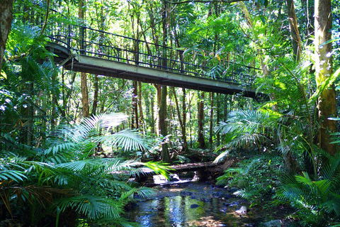 Cape Tribulation, Mossman Gorge, And Daintree Rainforest Day Trip From Cairns Or Port Douglas - Perisher Accommodation 3
