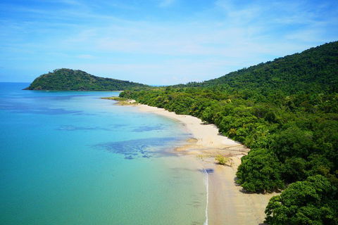 Cape Tribulation, Mossman Gorge, And Daintree Rainforest Day Trip From Cairns Or Port Douglas - Perisher Accommodation 5
