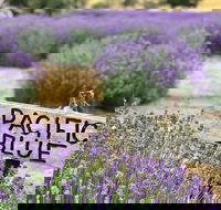 Kangaroo Island Food and Wine Trail Tour - Perisher Accommodation