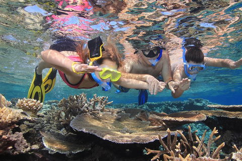 Calypso Outer Great Barrier Reef Cruise From Port Douglas - Perisher Accommodation 3