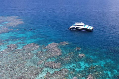 Calypso Outer Great Barrier Reef Cruise From Port Douglas - Perisher Accommodation 4