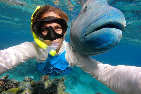 Calypso Outer Great Barrier Reef Cruise From Port Douglas - Perisher Accommodation 5