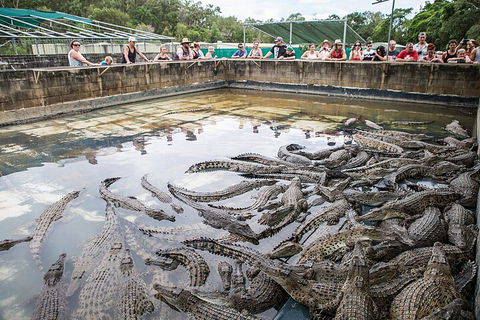 Hartley's Crocodile Adventures Day Trip From Palm Cove - Perisher Accommodation 0