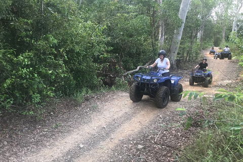 Cairns ATV Adventure Tour And Morning Train - Perisher Accommodation 0