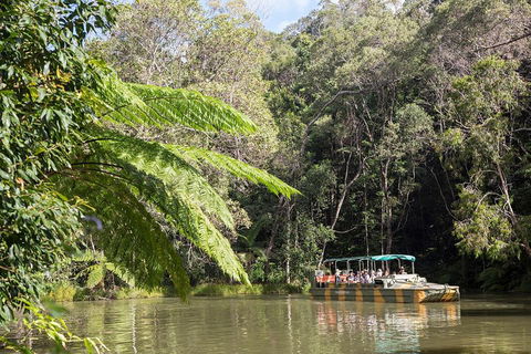 Best Of Kuranda Including Skyrail, Kuranda Scenic Railway And Rainforestation - Perisher Accommodation 5