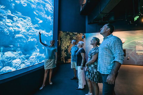 Cairns Aquarium By Twilight With 3-Course Dinner - Perisher Accommodation 1