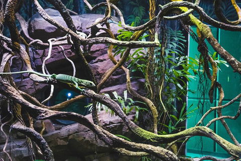 Cairns Aquarium By Twilight With 3-Course Dinner - Perisher Accommodation 2