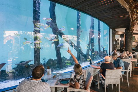 Cairns Aquarium By Twilight With 3-Course Dinner - Perisher Accommodation 4