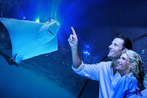 Cairns Aquarium Tour By Twilight With Drink And Appetiser - Perisher Accommodation 4