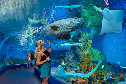 Cairns Aquarium Admission Ticket - Perisher Accommodation 3