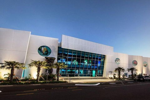 Cairns Aquarium Admission Ticket - Perisher Accommodation 4