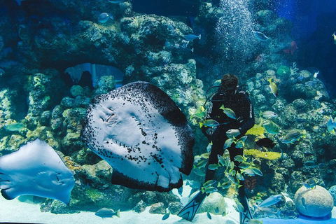 Cairns Aquarium Family Ticket - Perisher Accommodation 4