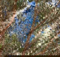 Kangaroo Island 4WD Tour - Best of KI in 2 Days - Perisher Accommodation