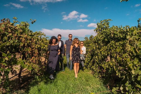 Barossa Valley Private Tour (from 2 To 11 People) - Perisher Accommodation 0