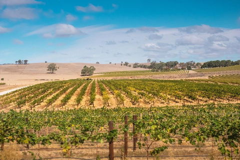 Barossa Valley Private Tour (from 2 To 11 People) - Perisher Accommodation 2