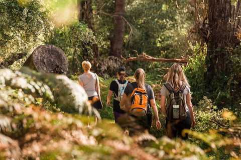 Cabaret Cave Yoga & Mindful Hike - Perisher Accommodation 2
