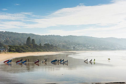 LGBT+ Friendly 12-Hour Great Ocean Road Private Tour - Perisher Accommodation 2