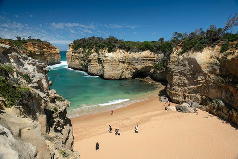 LGBT+ Friendly 12-Hour Great Ocean Road Private Tour - Perisher Accommodation 5
