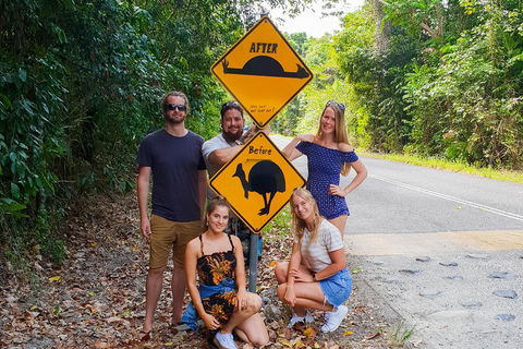 Cape Tribulation, Daintree Rainforest And Wildlife Tour - Perisher Accommodation 0