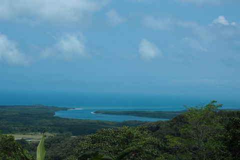 Cape Tribulation, Daintree Rainforest And Wildlife Tour - Perisher Accommodation 1