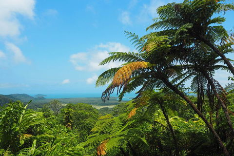 Cape Tribulation, Daintree Rainforest And Wildlife Tour - Perisher Accommodation 3