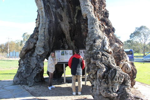 Barossa And Hahndorf Day Trip From Adelaide Including Wine Tasting And Lunch - Perisher Accommodation 1