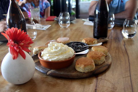 Cairns City Sights And Surrounds Tour - Perisher Accommodation 3