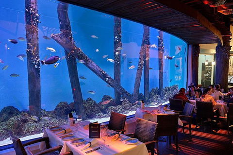Cairns Aquarium And Small Group City Sightseeing Tour - Perisher Accommodation 4