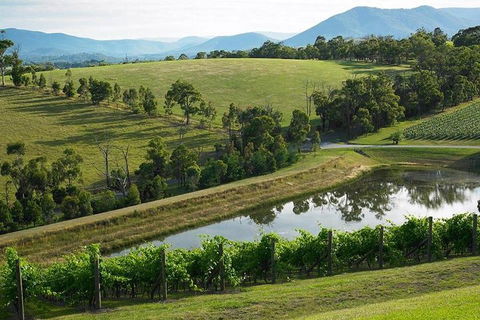 CHEVY CONVERTIBLE Package For 2 People- Wine Lunch Cheese & Chocolate From Melb. - Perisher Accommodation 0