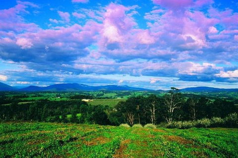 CHEVY CONVERTIBLE Package For 4 -Wine Lunch Cheese & Chocolate From Yarra Valley - Perisher Accommodation 4