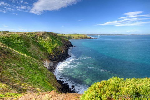 Phillip Island Penguin And Koala Highlights Day-Trip From Melbourne - Perisher Accommodation 5