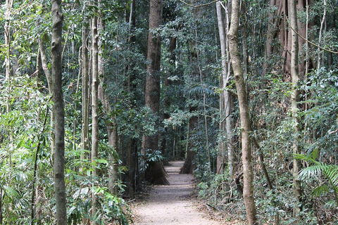 Eumundi Markets And Sunshine Coast Day Trip From Brisbane - Perisher Accommodation 4