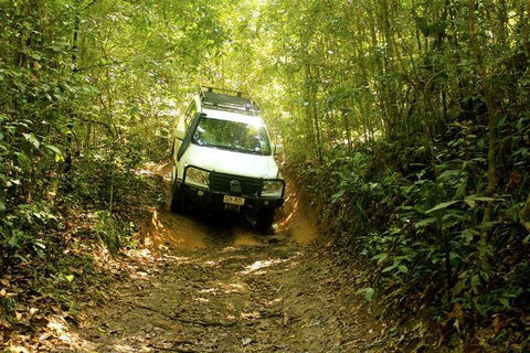 Barron Gorge And Kuranda National Park Half Day Rainforest And Waterfall 4WD Tour From Cairns - Perisher Accommodation 2