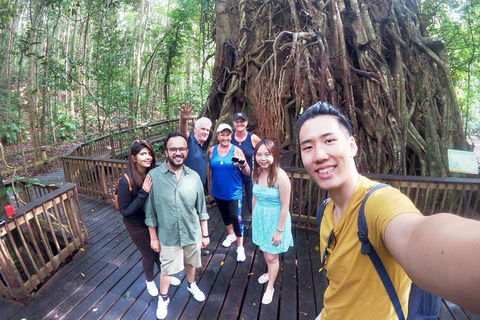 Barron Gorge And Kuranda National Park Half Day Rainforest And Waterfall 4WD Tour From Cairns - Perisher Accommodation 5