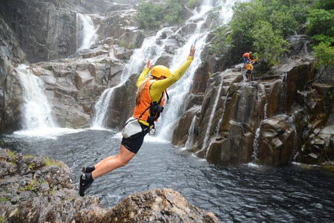 Behana Canyon Rainforest And Waterfall Experience - Perisher Accommodation 3