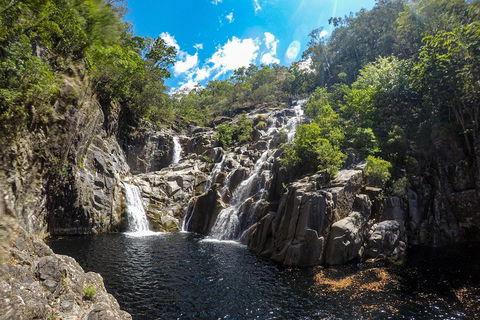 Behana Canyon Rainforest And Waterfall Experience - Perisher Accommodation 5