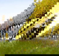 2-Day Private Daylesford  Macedon Ranges Gourmet Food Trail Tour from Melbourne - Perisher Accommodation