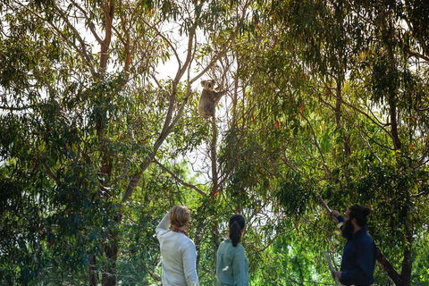 LGBT+ Friendly 3 Day Tour The Grampians, Daylesford & Ballarat - Perisher Accommodation 4