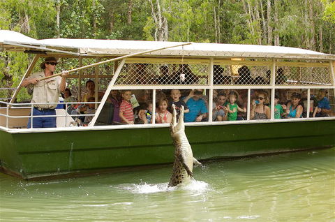 Hartley's Crocodile Adventure Half-Day Tour - Perisher Accommodation 0