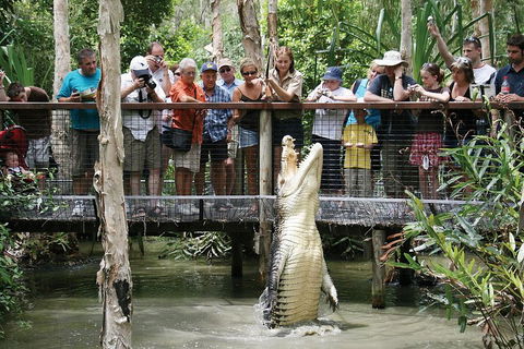 Hartley's Crocodile Adventure Half-Day Tour - Perisher Accommodation 1