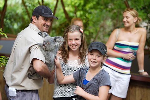 Hartley's Crocodile Adventure Half-Day Tour - Perisher Accommodation 3