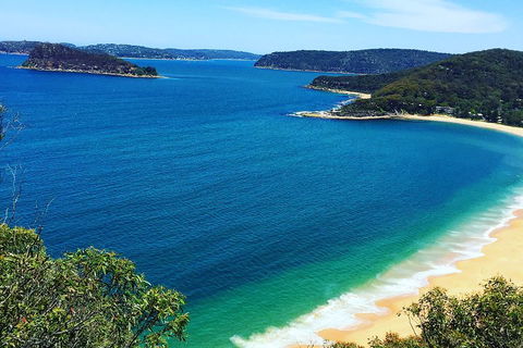 Central Coast Private Tour From Sydney, With Australian Reptile Park Option - Perisher Accommodation 5