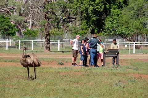 Yura Udnyu - Our Culture, Your Culture (Aboriginal Cultural Walk) - Perisher Accommodation 1
