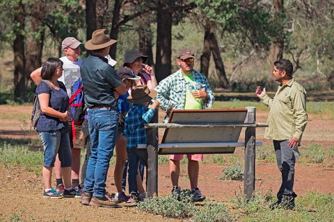 Yura Udnyu - Our Culture, Your Culture (Aboriginal Cultural Walk) - Perisher Accommodation 2