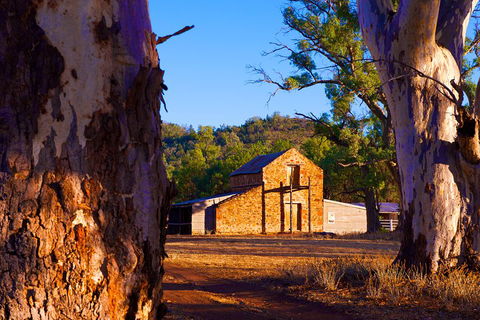 Yura Udnyu - Our Culture, Your Culture (Aboriginal Cultural Walk) - Perisher Accommodation 4
