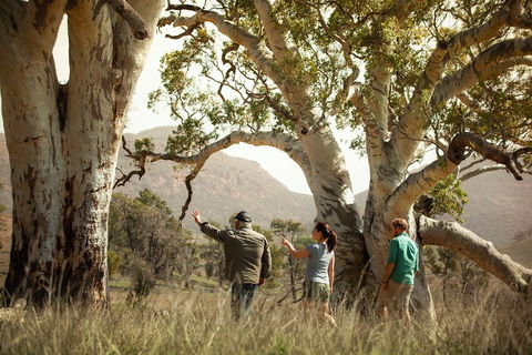 Yura Udnyu - Our Culture, Your Culture (Aboriginal Cultural Walk) - Perisher Accommodation 5
